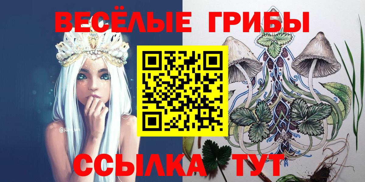 Псилоцибиновые грибы мухоморы Алапаевск