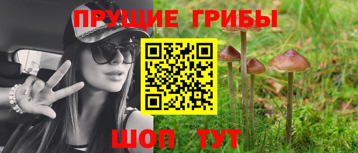 Галлюциногенные грибы Psilocybe  Вход с VPN  Алапаевск  Галлюциногенные грибы Magic Shrooms 